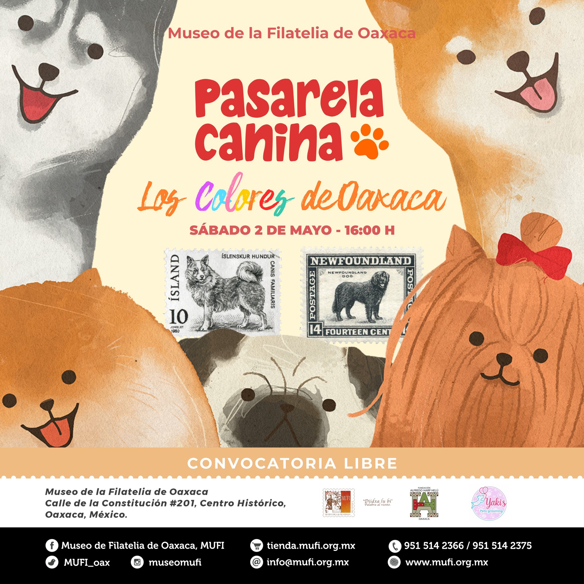 Pasarela Canina en Oaxaca 2026: concurso gratuito en el Museo de la Filatelia