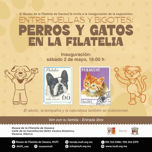 Expo de perros y gatos en Oaxaca 2026: nueva muestra en el Museo de la Filatelia