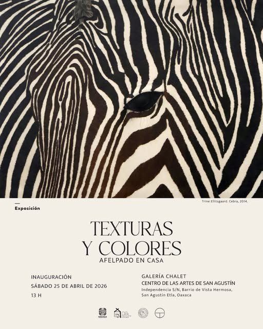 Exposición Texturas y Colores en CaSa Oaxaca 2026: Afelpado hasta el 26 de julio